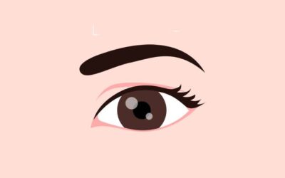 Eyes – Parts of the Human eye