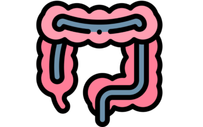Peristalsis – Movement of the digestive muscles