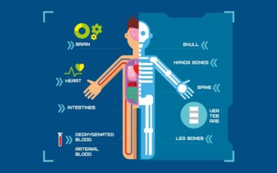 Reflexes in our Body