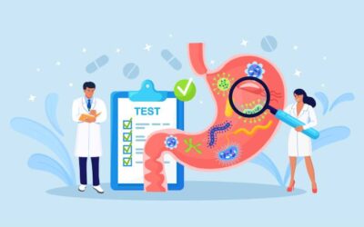 Stomach acids – Gastric juices