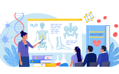 What are Bones made of?