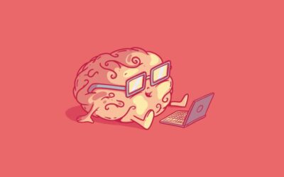 Functional areas of the brain