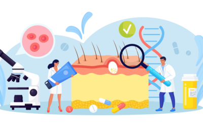 Structure and function of skin
