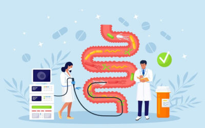 Large Intestine in our body