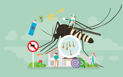 Mosquito-borne diseases