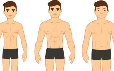 Functions of muscles of our body