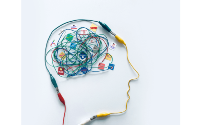 Neurotransmitters – What are they?