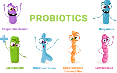 Probiotics – What are they?