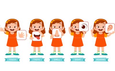 Sixth and Seventh Senses