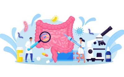 Small intestine in our body