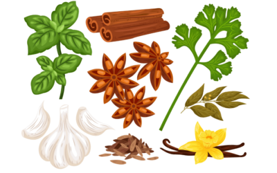 Spices – Flavour or medicinal