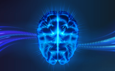 Carbohydrates in your diet