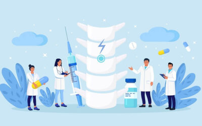 Nerves from the Spinal cord